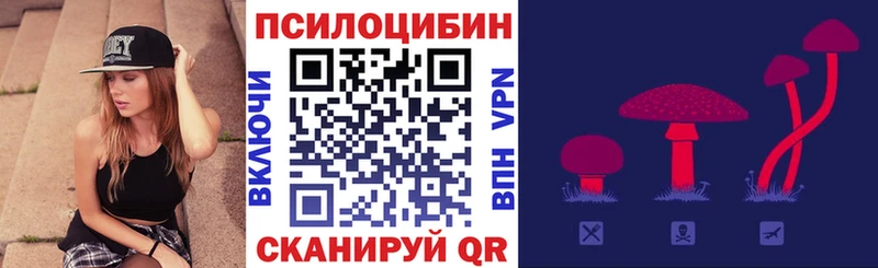 Псилоцибиновые грибы ЛСД  где купить наркоту  Томмот 
